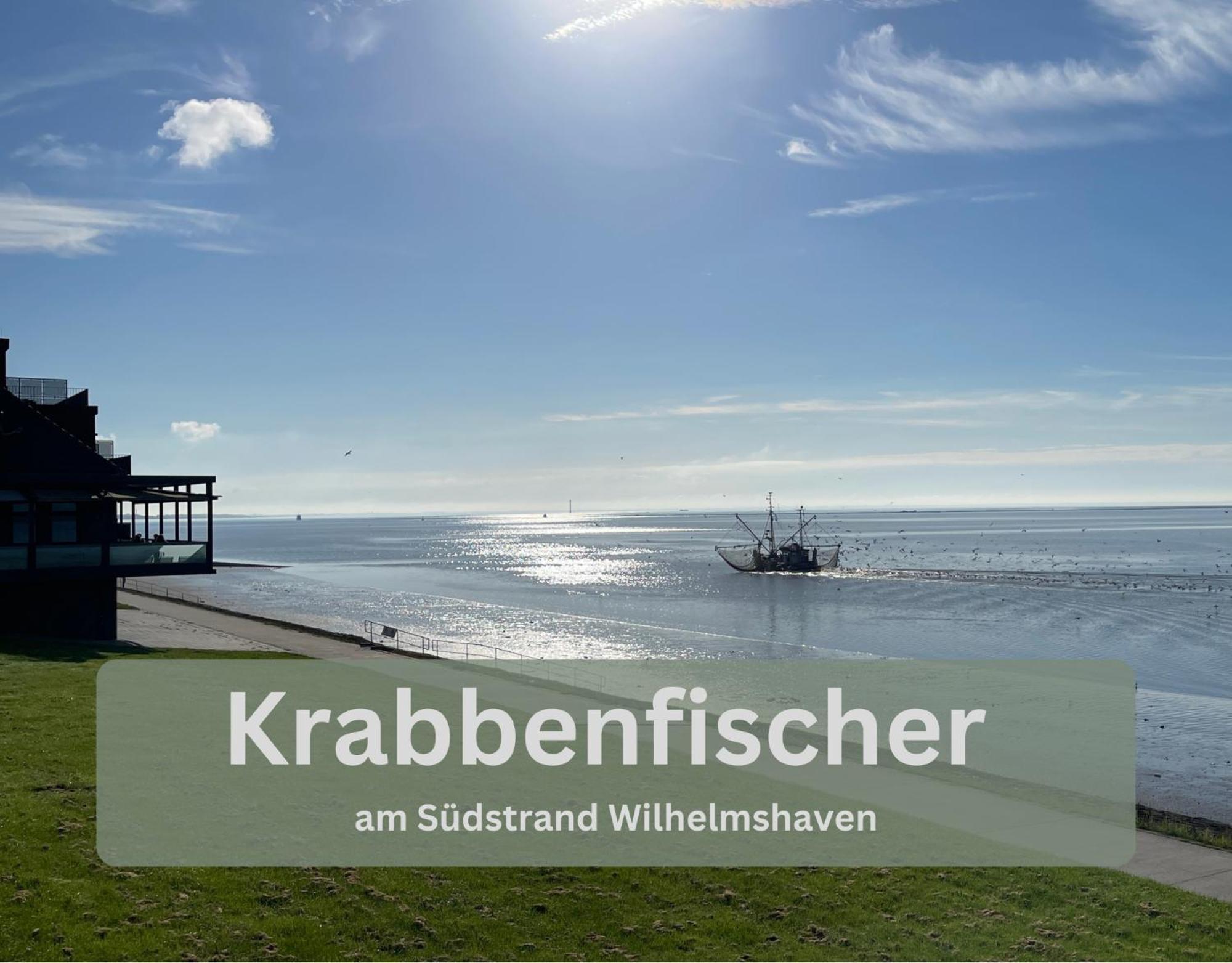 Lodge94 - Tinyhouse Kleiner Luxus Wilhelmshaven Eksteriør billede